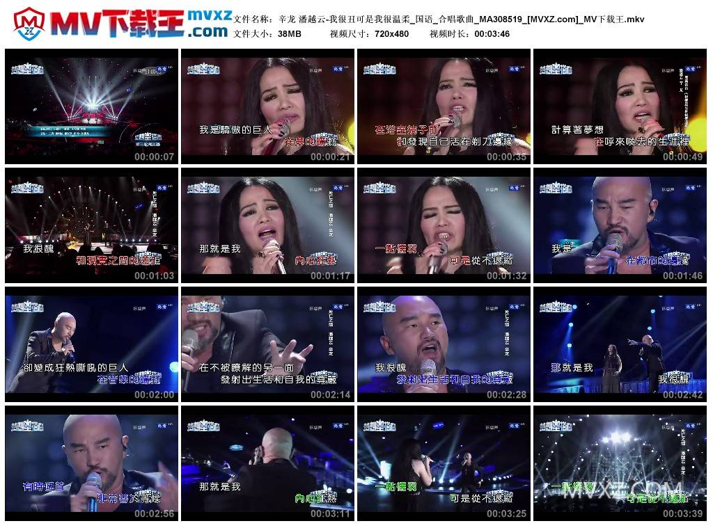 辛龙 潘越云-我很丑可是我很温柔_国语_合唱歌曲_MA308519